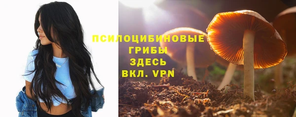 спайс Беломорск