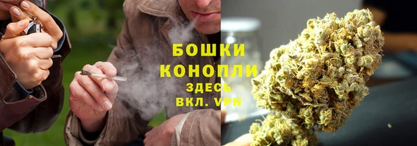 хмурый Белоозёрский