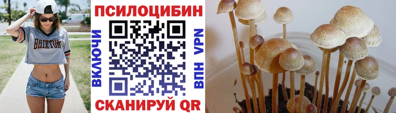 Купить  Строитель  Галлюциногенные грибы мухоморы 